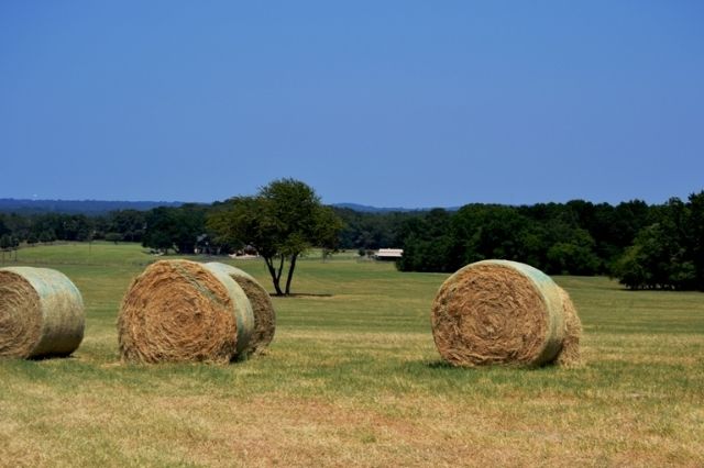 0 FM Road 548, Terrell, TX 75126